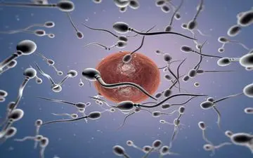  تحرک اسپرم در تابستان بیشتر و در زمستان کمتر است