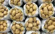 100 تن سیب‌زمینی احتکاری در "کوزران" کشف شد
