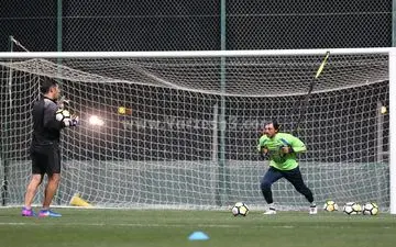  دروازه‌بان استقلال برای دیدار با الریان کیست؟