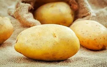 این سیب زمینی ها بوی خطر می دهند
