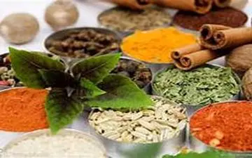 این 11 گیاه باید حتما در منزل باشند