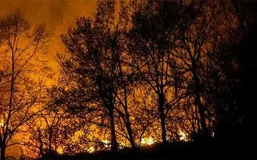 حریق در جنگل های گیلان/ خطر منازل را تهدید نمی‌کند