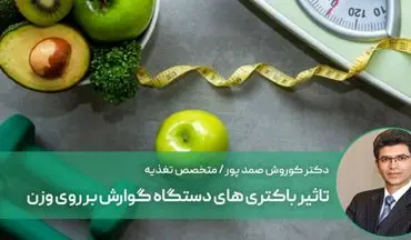 تاثیر باکتری های دستگاه گوارش بر چاقی و افزایش وزن

