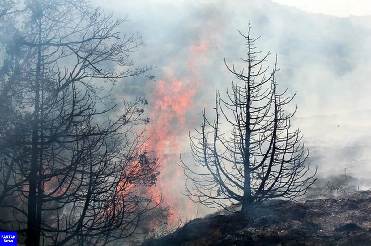 شعله ور شدن مجدد آتش در جنگل‌ها و مراتع مریوان