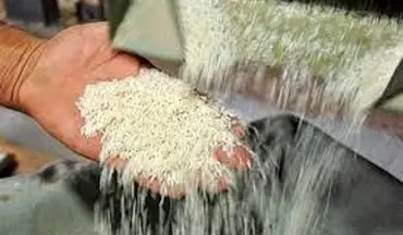 واردات برنج به استان مازندران ممنوع شود