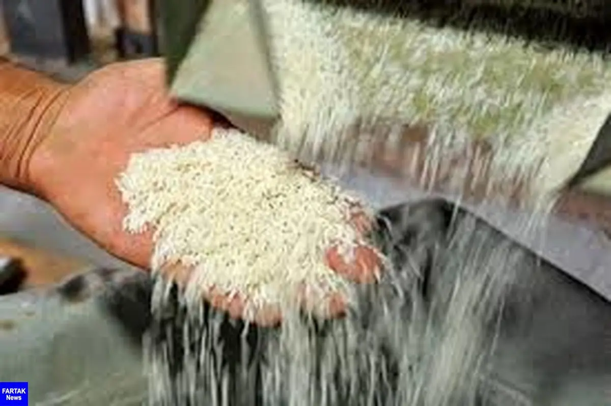 واردات برنج به استان مازندران ممنوع شود