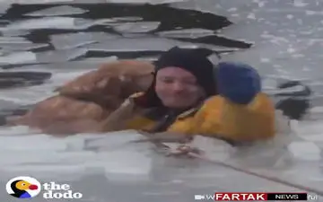 جان در هر کالبدی مقدس است؛ انسانیت بدون شرح + فیلم