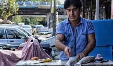 بازار ماهی بندر انزلی به روایت تصویر