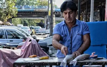 بازار ماهی بندر انزلی به روایت تصویر