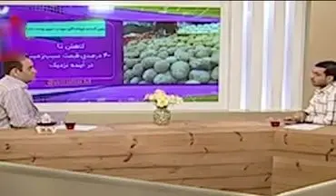 عذرخواهی مجری تلویزیون از خواندن اخبار امیدوارکننده قیمت سیب‌زمینی