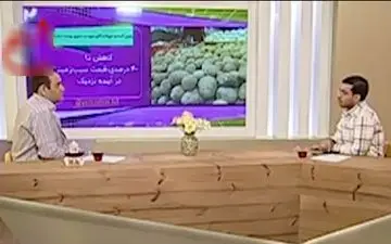 عذرخواهی مجری تلویزیون از خواندن اخبار امیدوارکننده قیمت سیب‌زمینی