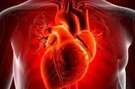 امیدی تازه برای بیماران قلبی: قلب می‌تواند بخشی از آسیب پس از سکته را جبران کند