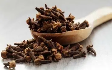 درمان گیاهی و خانگی معده درد