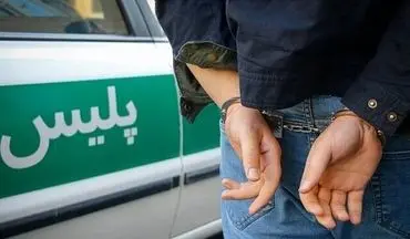 سارق اماکن دولتی در شاهرود دستگیر شد