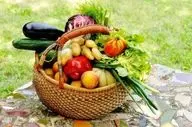 خطر آلودگی سبزیجات به مدفوع سگ و گربه/ هشدار به مصرف لبنیات غیرپاستوریزه