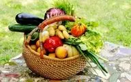 خطر آلودگی سبزیجات به مدفوع سگ و گربه/ هشدار به مصرف لبنیات غیرپاستوریزه