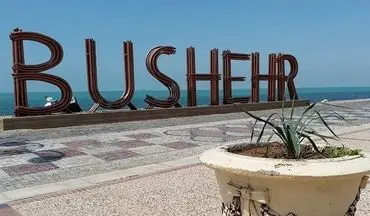 پرش زیبای نهنگ در ساحل بوشهر + فیلم