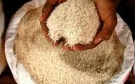 برنج به 5 دلیل گران شد