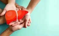 سم‌زدایی و سم‌زدایی و کلیه با چند راهکار اساسی