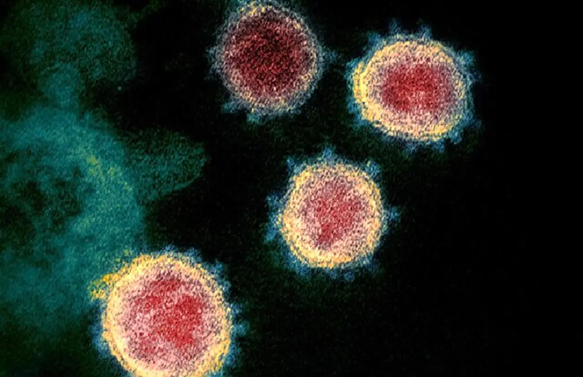 ویروس کرونا روی کلیه تاثیر می گذارد؟