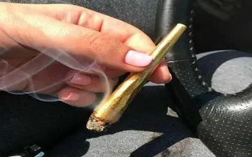 تفریح عجیب و لاکچری بچه پولدارهای تهرانی +عکس