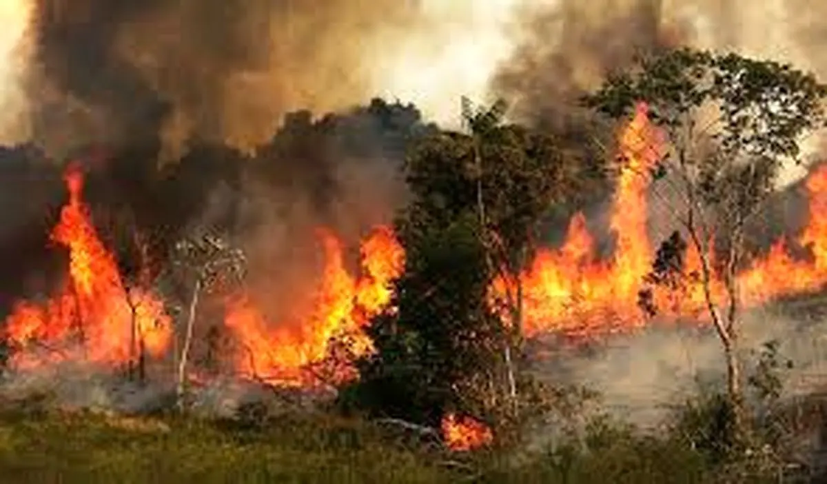 آتش به جان جنگل های پاوه افتاد/380 هکتار از مراتع بوزین و مره خیل طعمه حریق شد