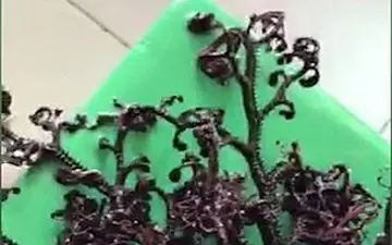 مشاهده موجود دریایی عجیب در سواحل ویتنام+فیلم