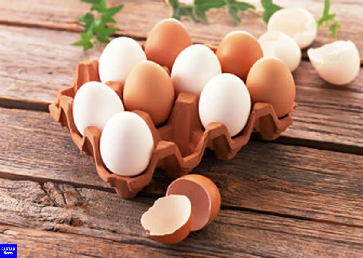  تخم مرغ در بازار همچنان می‌تازد/کاهش تولید دلیل اصلی گرانی