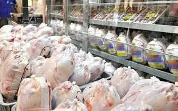 قیمت جدید مرغ اعلام شد / قیمت مرغ گرم رو به افزایش