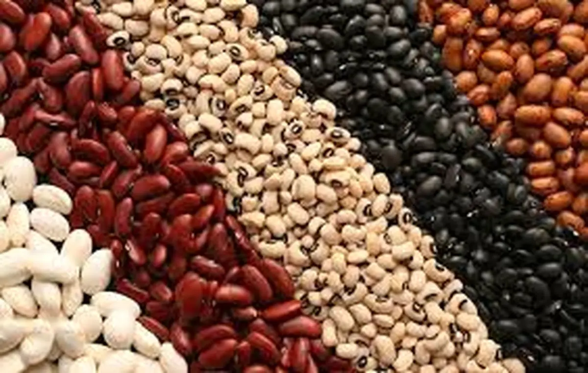   قیمت جدید لوبیا چیتی و لوبیا قرمز اعلام شد 