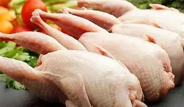  قیمت گوشت و تخم بلدرچین اعلام شد 