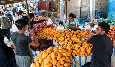 
کاهش باورنکردنی قیمت میوه و تره بار در تهران 