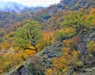 گزارش تصویری | گیلان؛ مقصدی رویایی برای عاشقان پاییز