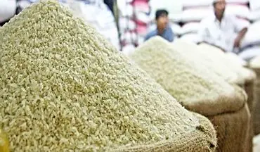 کمر قیمت برنج طارم شکست + آخرین قیمت ها