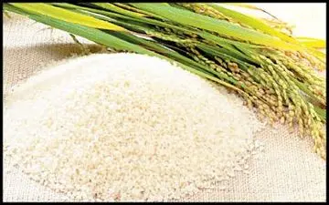 قیمت برنج ایرانی به ۱۷ هزار تومان رسید!/ دستمال کاغذی، نوشابه و دلستر بی سر و صدا گران شد