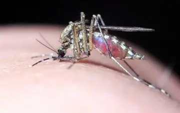 هشدار مهم برای یک بیماری کشنده بدون علامت و درمان | این گروه‌های سنی به شدت در خطر هستند