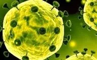 چین هشدار داد: ویروس کرونا در حال قویتر شدن است