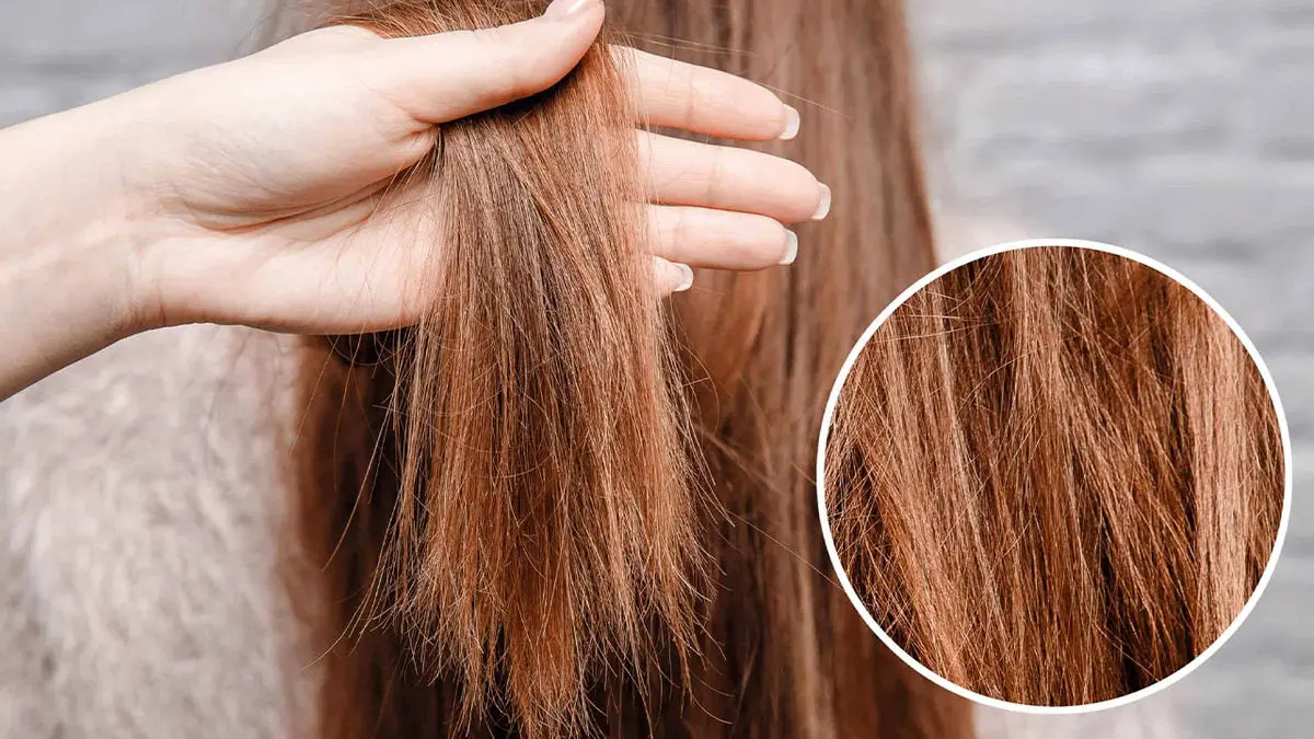 چگونه بفهمیم موهایمان آسیب دیده‌اند؟ ۷ علامت قابل تشخیص1
