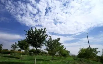 طرح جامع فضای سبز سمنان جزو ۱۰ طرح برتر کشور است  