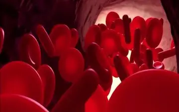 گروه خون طلایی کدام است؟