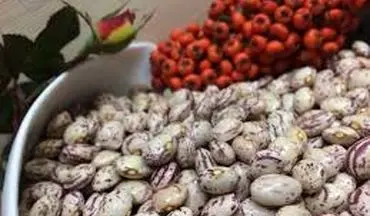 پیشگیری از زخم معده با لوبیا چیتی!