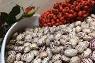 پیشگیری از زخم معده با لوبیا چیتی!
