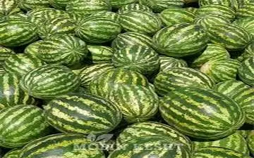 سقوط تاریخی صادرات ایران در ۲۰۲۴