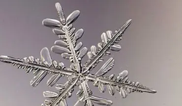 فردی که از دانه‌های برف عکس می‌گیرد +فیلم 