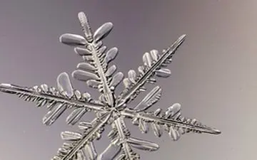 فردی که از دانه‌های برف عکس می‌گیرد +فیلم 