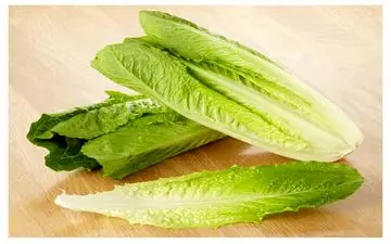 خواص بی شمار کاهو؛ از جلوگیری از  ریزش  و سفید شدن مو تا رفع بی‌خوابی