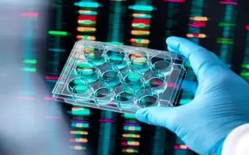 تازه ترین آمارها از همه گیری ویروس کرونا 