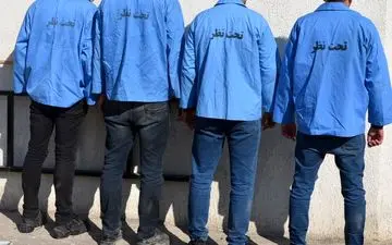 باند سارقان باغات زنجان با کشف ۴۵ فقره سرقت متلاشی شد
