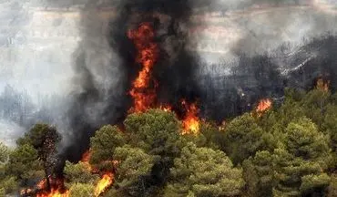  آتش سوزی جنگل فیروزآباد کرمانشاه مهار شد