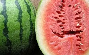 این هندوانه مفید و قدرتمند!